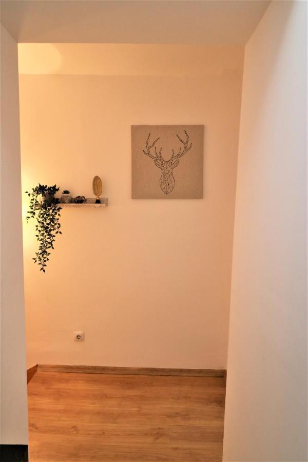 Cozy Old Town Apartment - Free Minibar Bucureşti Exterior foto